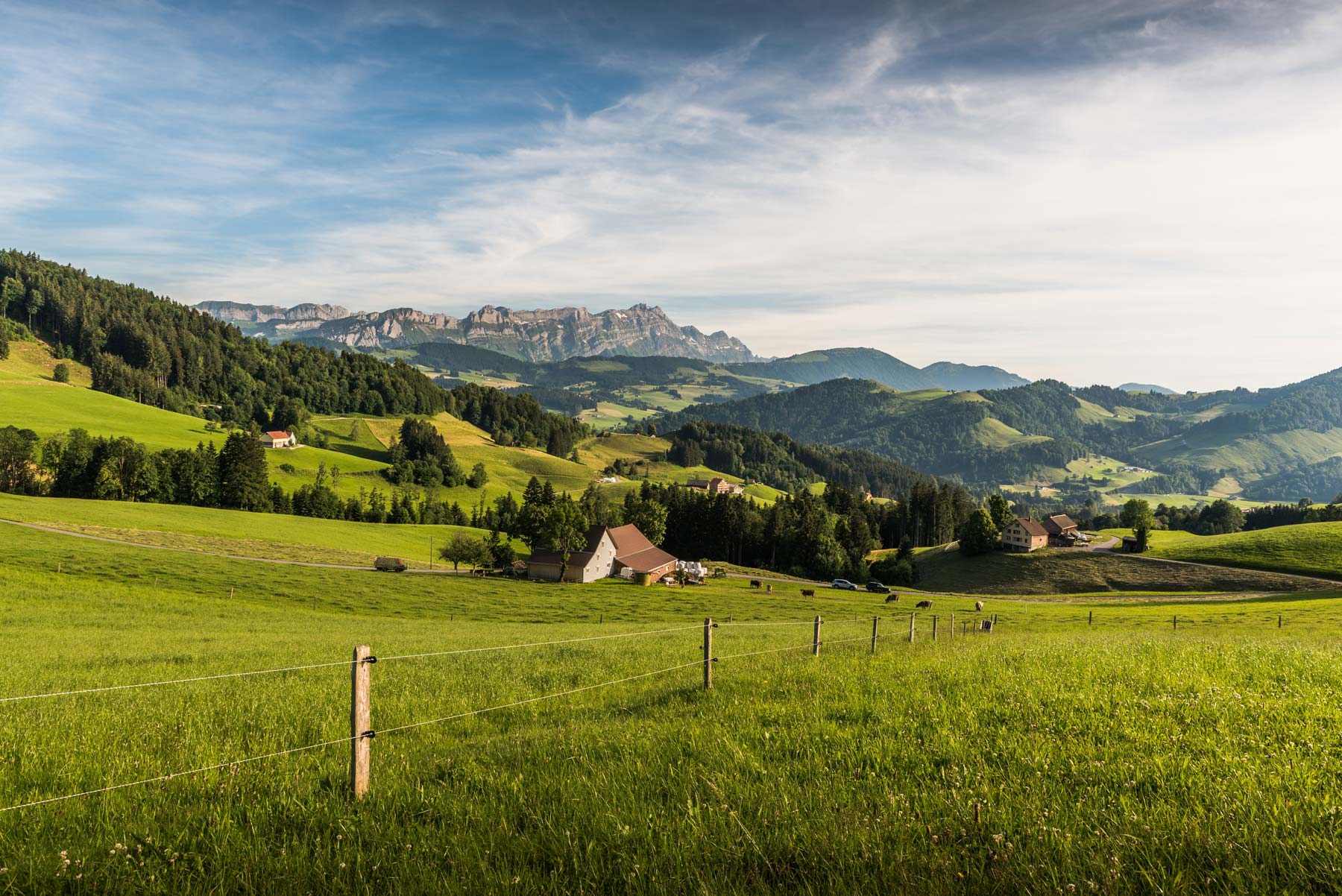 Une grande partie du territoire suisse est constituée d’herbages. Ceux-ci nourrissent les animaux herbivores comme les vaches, les moutons ou les chèvres. Une grande partie du territoire suisse est constituée d’herbages. Ceux-ci nourrissent les animaux herbivores comme les vaches, les moutons ou les chèvres.